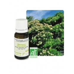 TEA TREE HUILE ESSENTIELLE BIO 10ML PRANAROM