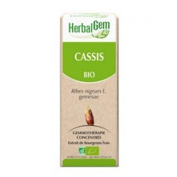 CHENE BIO 30ML HERBALGEM