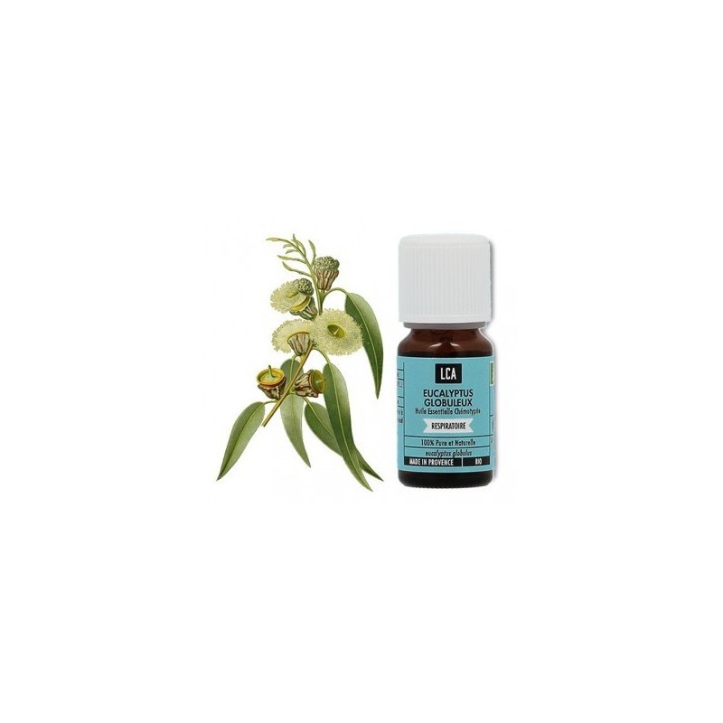 HUILE ESSENTIELLE BIO EUCALYPTUS GLOBULEUX 10ML LCA