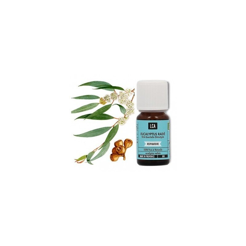 Huiles essentielles 100% BIO Eucalyptus radiata (10 ml) - Docteur