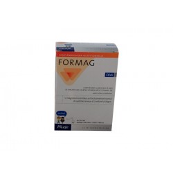 FORMAG FRAISE ENFANT 20 STICKS PILEJE