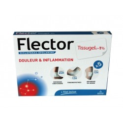 FLECTOR TISSUGEL EP 1% 5 EMPLATRES GENEVRIER 