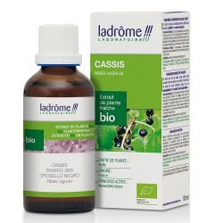 EXTRAIT DE CASSIS MATRICAIRE BIO 50ML LADROME 