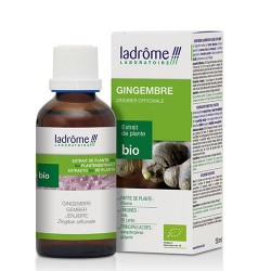 EXTRAIT DE GINGEMBRE BIO 50ML LADROME 