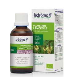 EXTRAIT DE PISSENLIT BIO 50ML  LADROME 