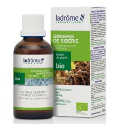 EXTRAIT DE GINSENG DE SIBERIE BIO 50ML  LADROME 