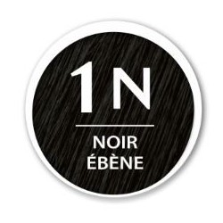 COLOR & SOIN ADVANCED 1N NOIR ÉBÉNE 130ML LES 3 CHENES 