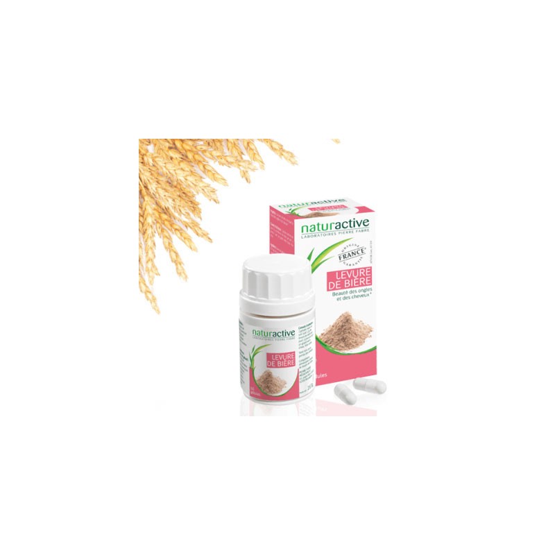 LEVURE DE BIERE X60 NATURACTIVE