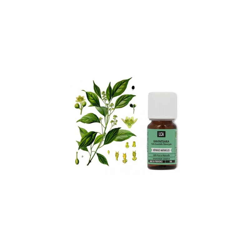 HUILE ESSENTIELLE ROMARIN CINEOLE - Herbalp