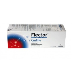 FLECTOR GEL 1% 100G LABORATOIRES GENEVRIER