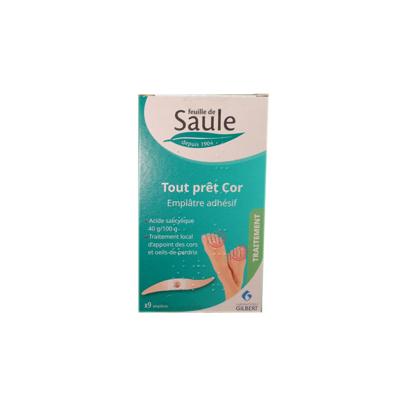 FEUILLE DE SAULE TOUT PRET COR X9 LABORATOIRES GILBERT