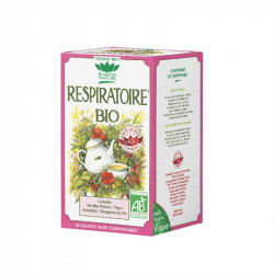 TISANE RESPIRATOIRE BIO 20 sachets ROMON NATURE