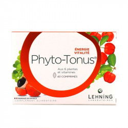 PHYTO-TONUS 40 COMPRIMÉS LEHNING