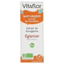 EGLANTIER EXTRAIT DE BOURGEONS BIO 15ML VITAFLOR