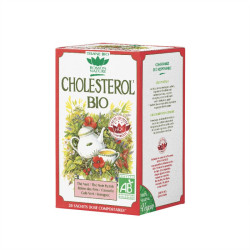 TISANE CHOLESTEROL BIO 20 sachets ROMON NATURE