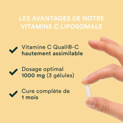 VITAMINE C LIPOSOMALE 90 GELULES NOVOMA