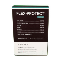 FLEX-PROTECT 60 GÉLULES ARAGAN