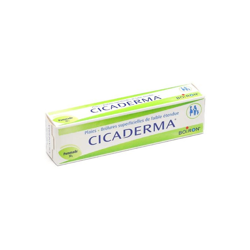 CICADERMA POMMADE 30g BOIRON