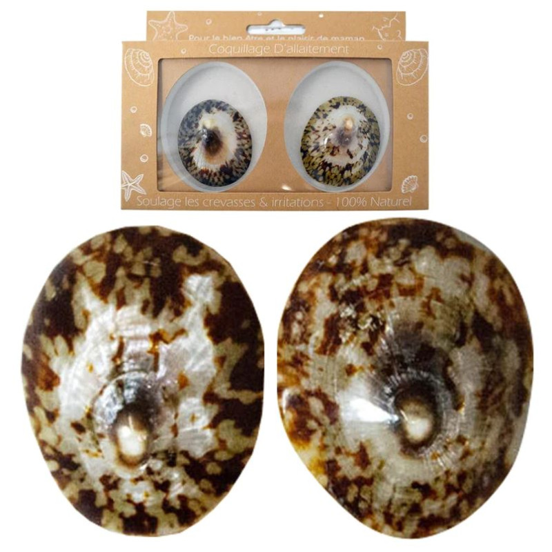 COQUILLAGE D'ALLAITEMENT TAILLE M IRREVERSIBLE COQUILLAGE D'ALLAITEMENT TAILLE M IRREVERSIBLE
