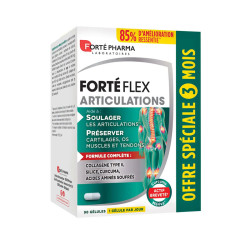 FORTEFLEX ARTICULATIONS 90 COMPRIMES FORTE PHARMA