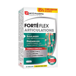 FORTEFLEX ARTICULATIONS 30 COMPRIMES FORTE PHARMA