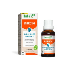 ENERGEM SURCHARGE MENTALE BIO 30ML HERBALGEM