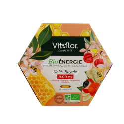 BIO ÉNERGIE GELEE ROYALE 1000MG + 20 AMPOULES VITAFLOR