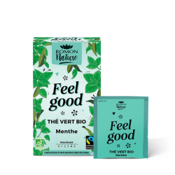 FEEL GOOD THÉ VERT BIO MENTHE 16 SACHETS ROMON NATURE