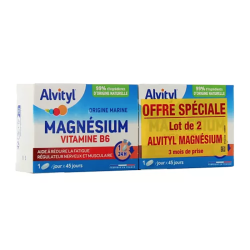 ALVITYL MAGNESIUM B6 LOT DE 2 X 45 COMPRIMES URGO