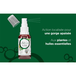 L52 FLASH SPRAY GORGE 30ML LEHNING