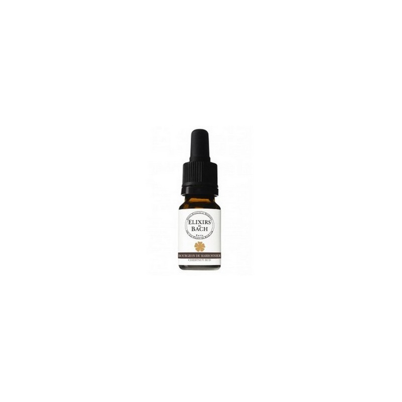 FLEUR DE BACH ELIXIR BOURGEON DE MARRONNIER 10ML