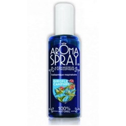 AROMA SPRAY GIROFLE CAMPHRE 100ML SAINT COME