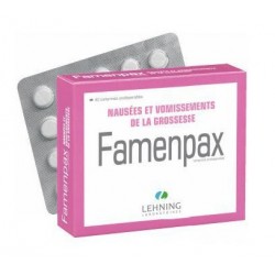 FAMENPAX NAUSEES VOMISSEMENTS GROSSESSE 40 COMPRIMES LEHNING